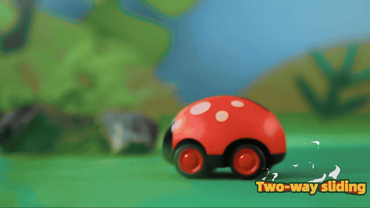 DOUBLE INERITICA INSECT BEETLE